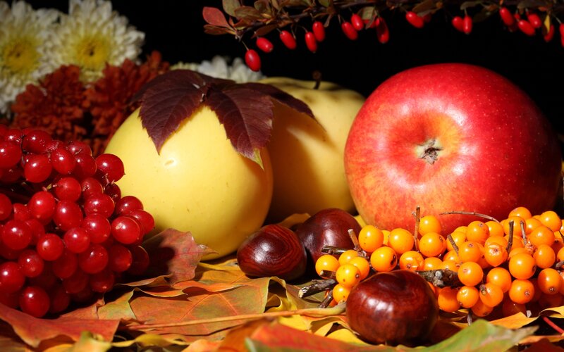 Autumn Fruits and Leaves — Red, Dramatic