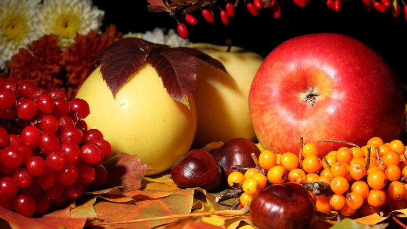 Autumn Fruits and Leaves — Red