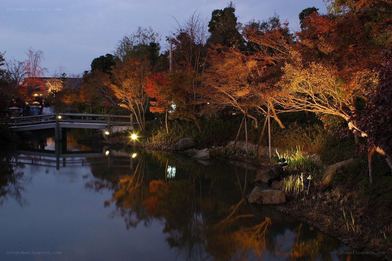 Autumn garden at dusk