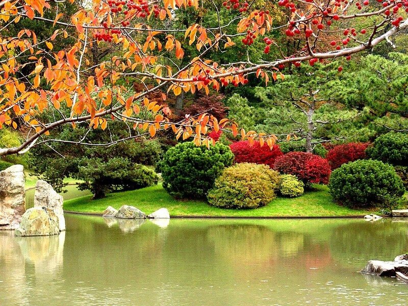 Autumn garden by the pond
