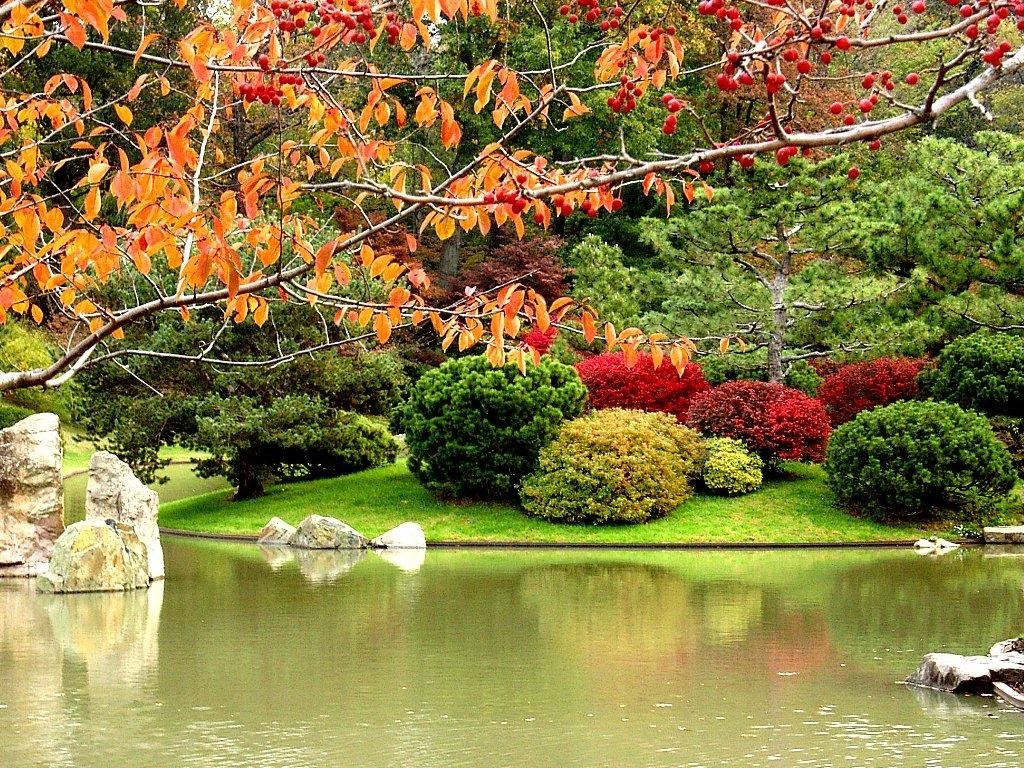 Autumn garden by the pond