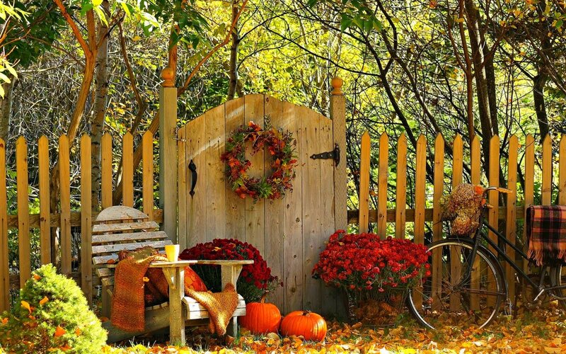 Autumn Garden Gate