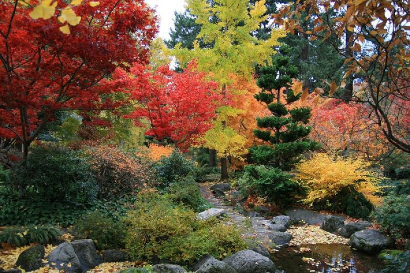 Autumn Garden Path — Red, Serene, Photograph