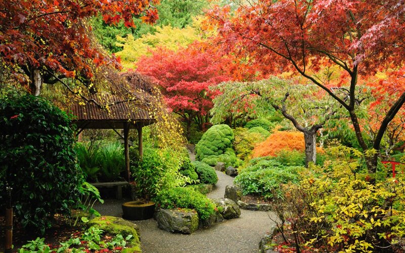 Autumn Garden Path — Red, Serene, Photograph, Trees