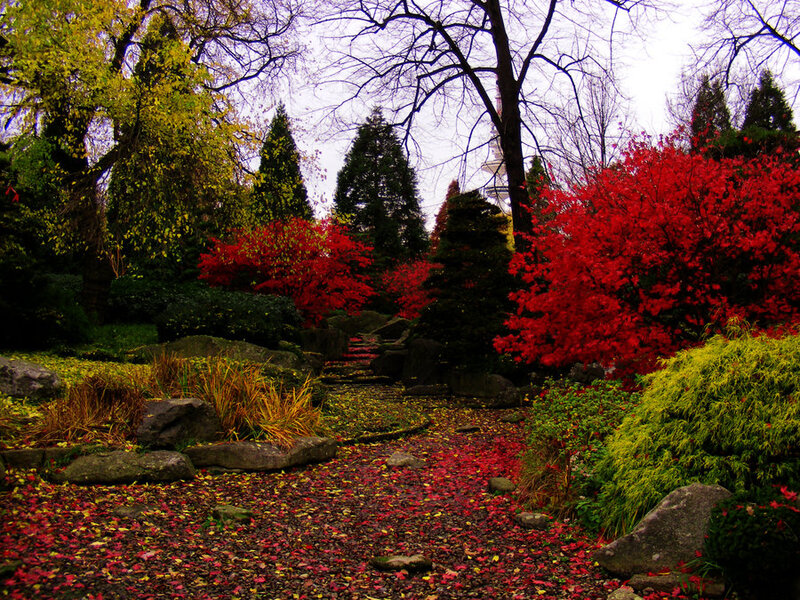 Autumn Garden Path — Red