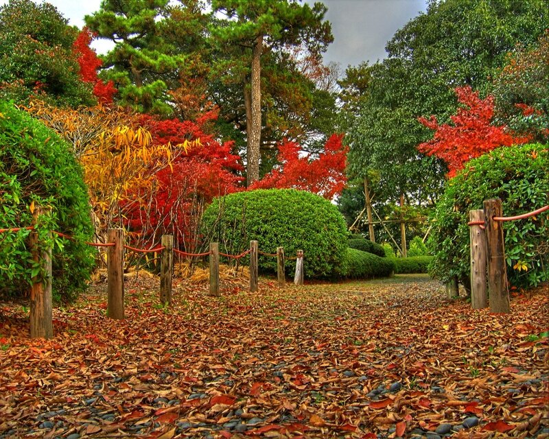 Autumn Garden Path
