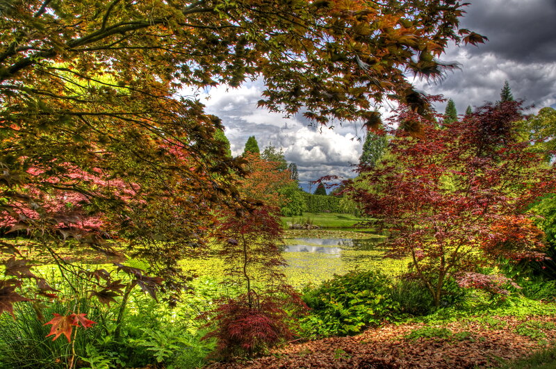 Autumn Garden Pond — Green, Serene