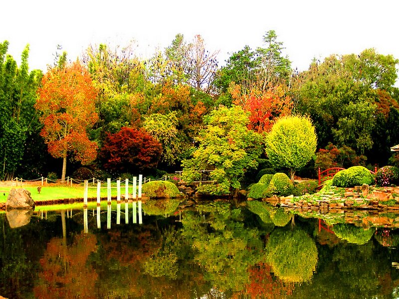 Autumn Garden Pond — Green
