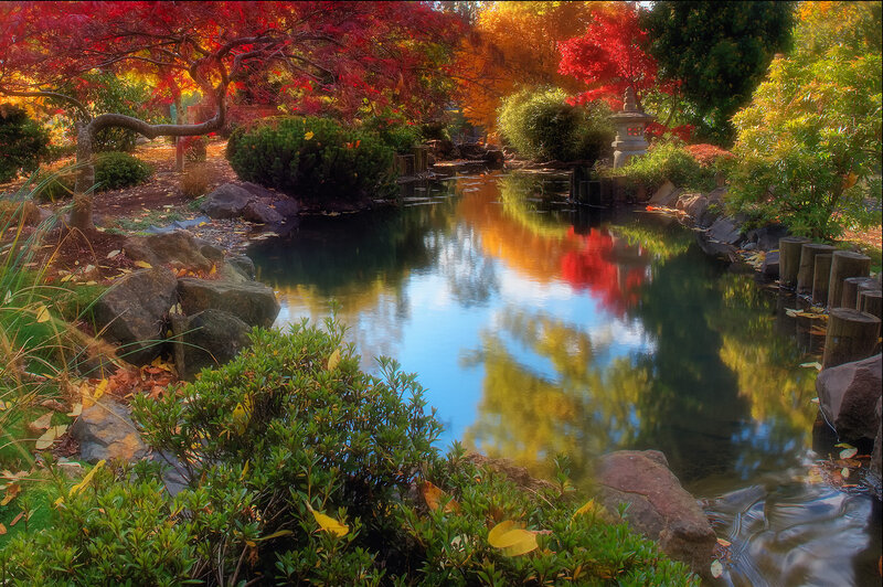 Autumn Garden Pond — Red