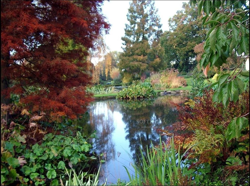 Autumn garden pond scene