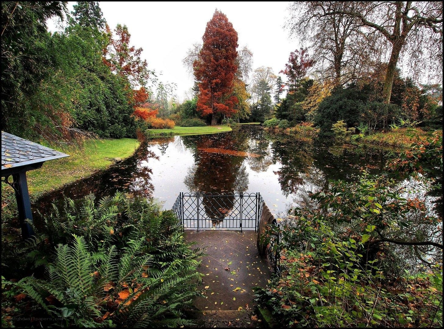Autumn garden pond scene