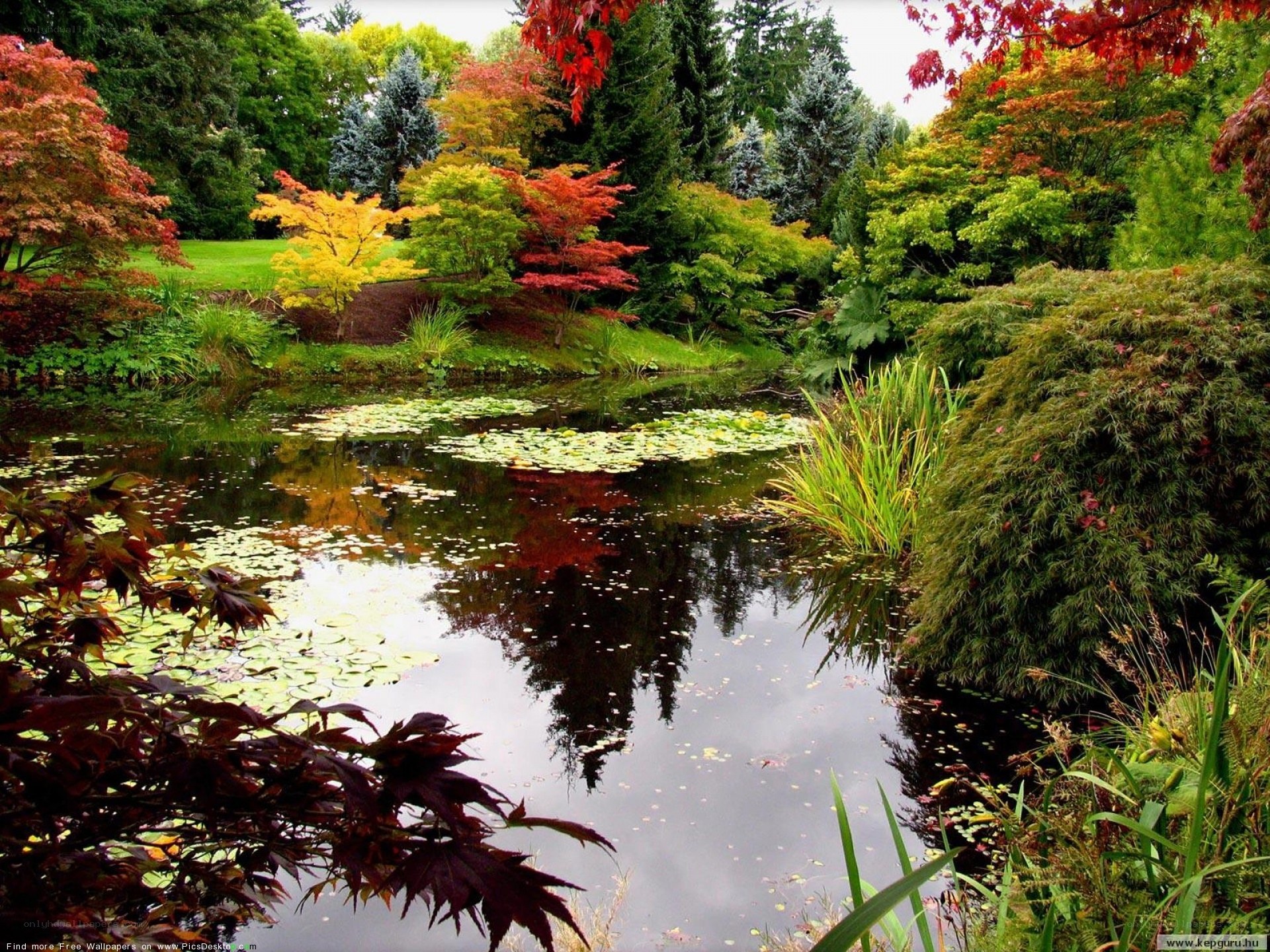 Autumn garden pond scene