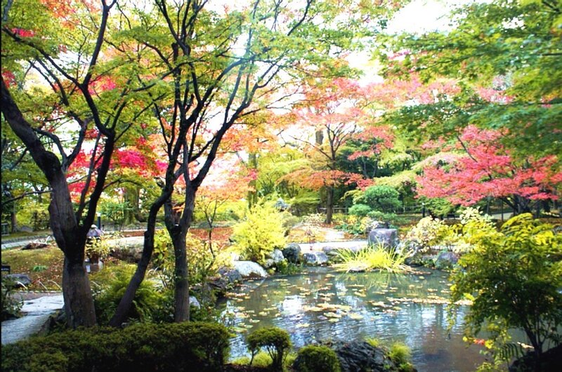 Autumn Garden Pond