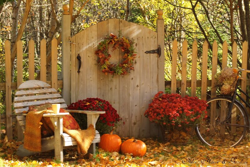 Autumn Garden Scene — Orange
