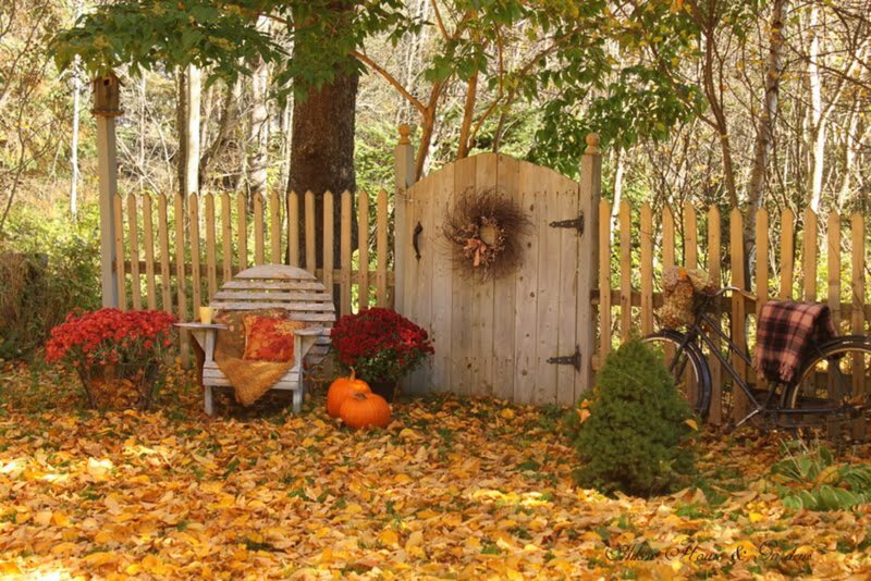 Autumn Garden Scene — Yellow