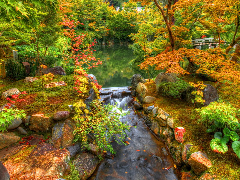 Autumn Garden Stream