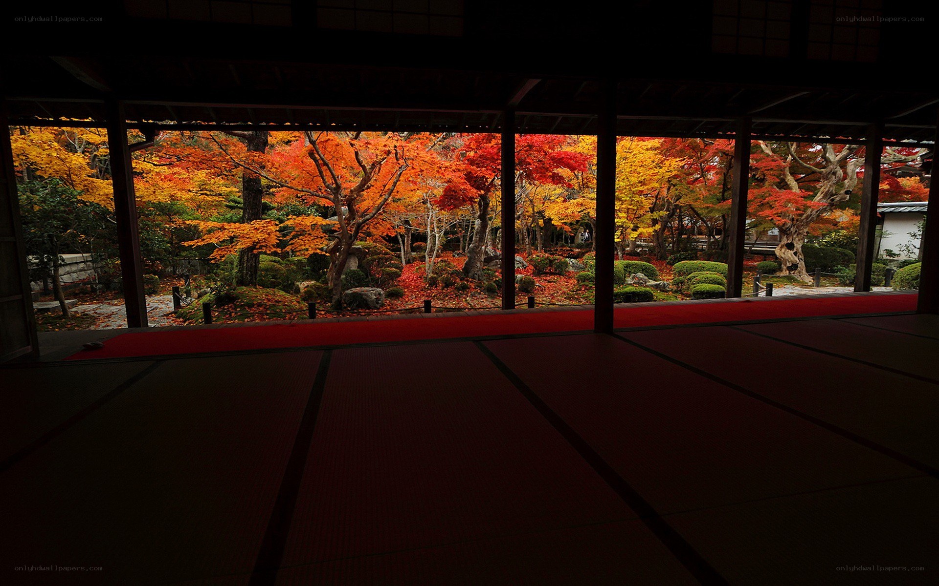 Autumn garden view from a temple