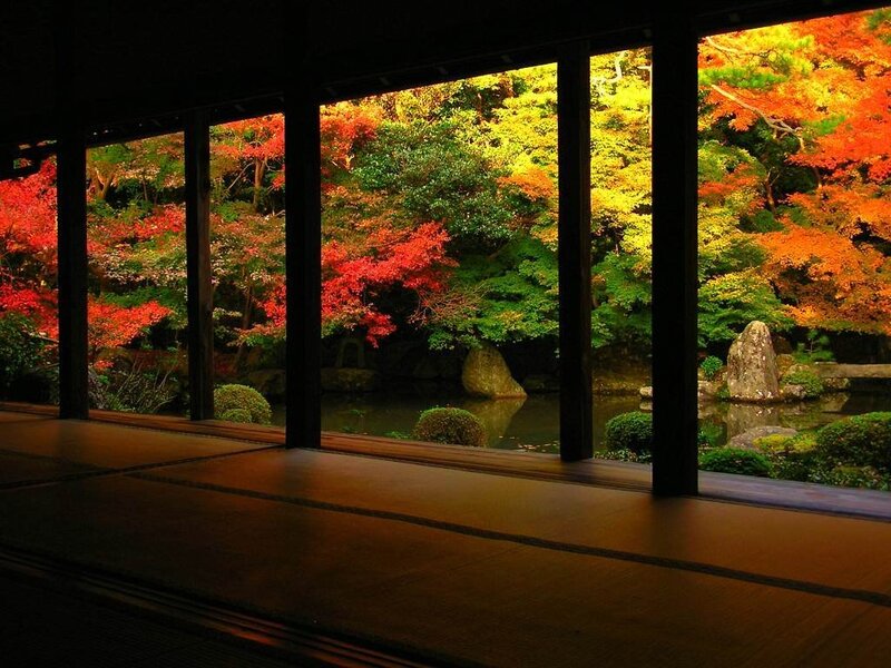 Autumn garden view from a traditional room