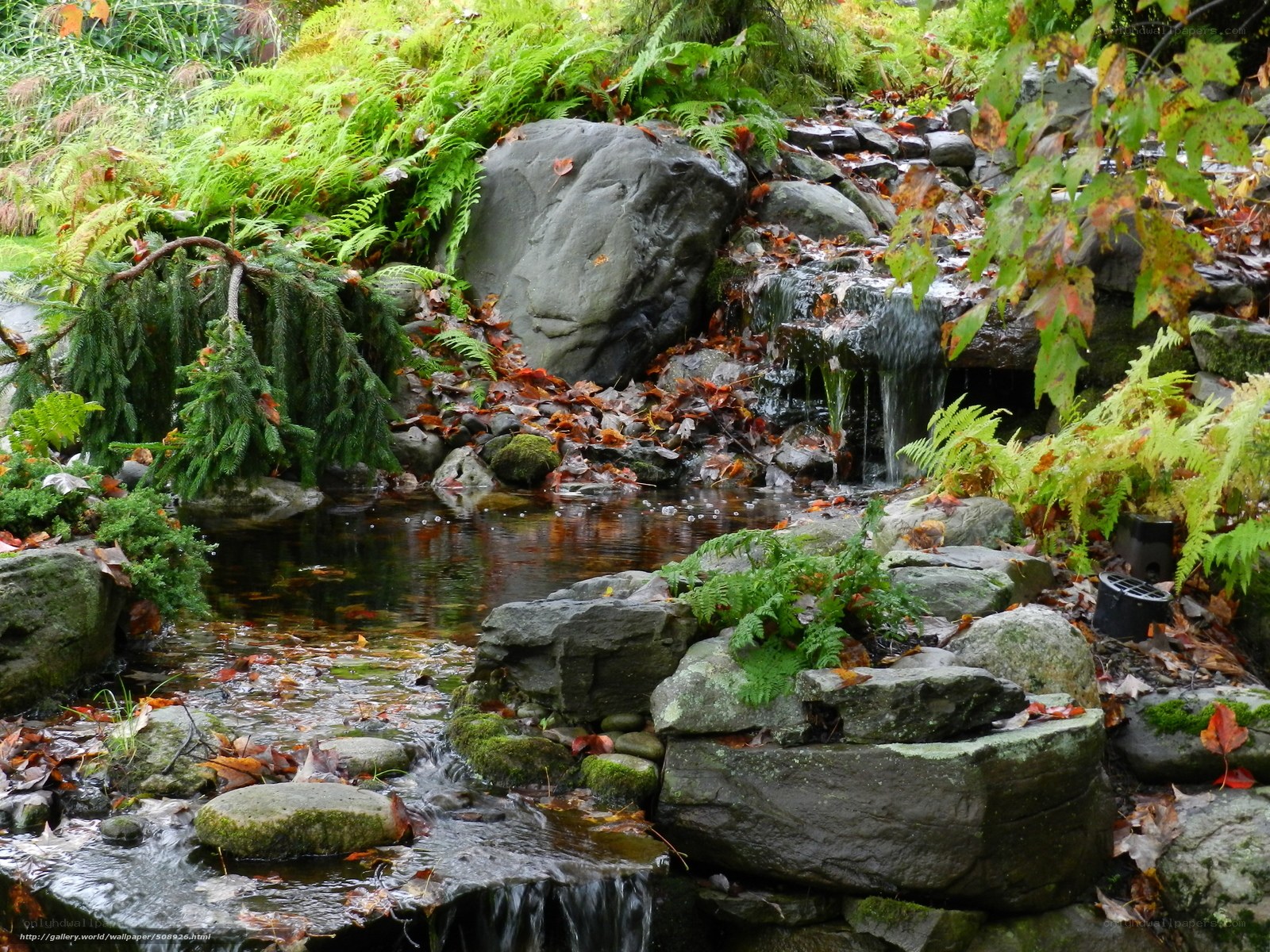 Autumn garden waterfall scene