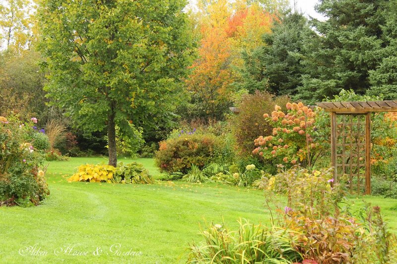 Autumn Garden with Arbor — Green