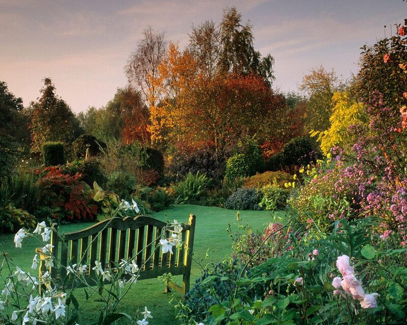 Autumn garden with bench