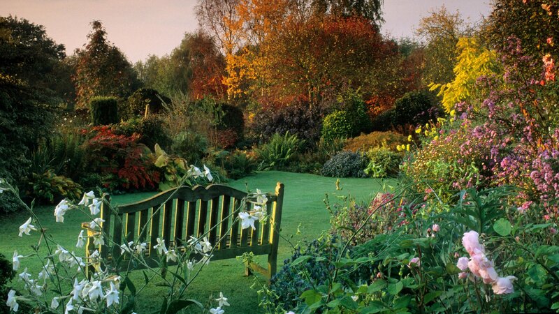 Autumn garden with bench