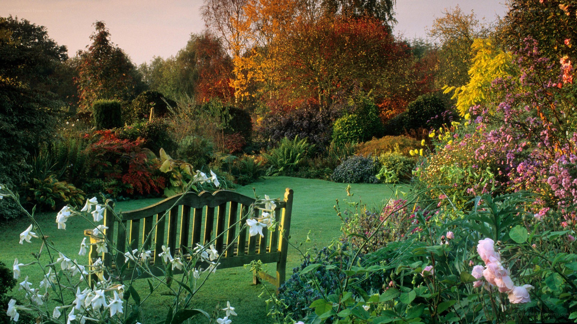 Autumn garden with bench