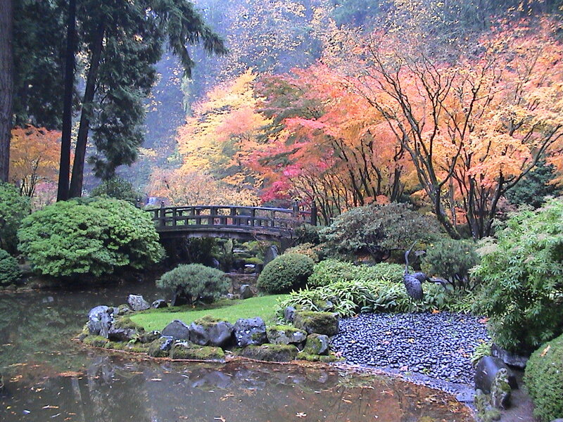 Autumn garden with bridge