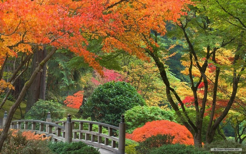 Autumn Garden with Bridge — Red