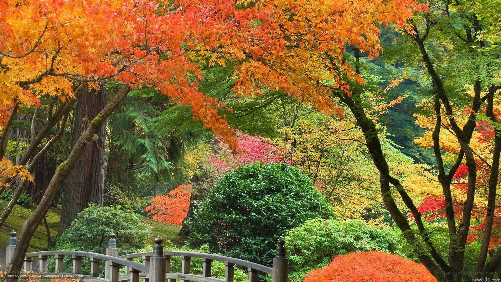Autumn garden with colorful trees