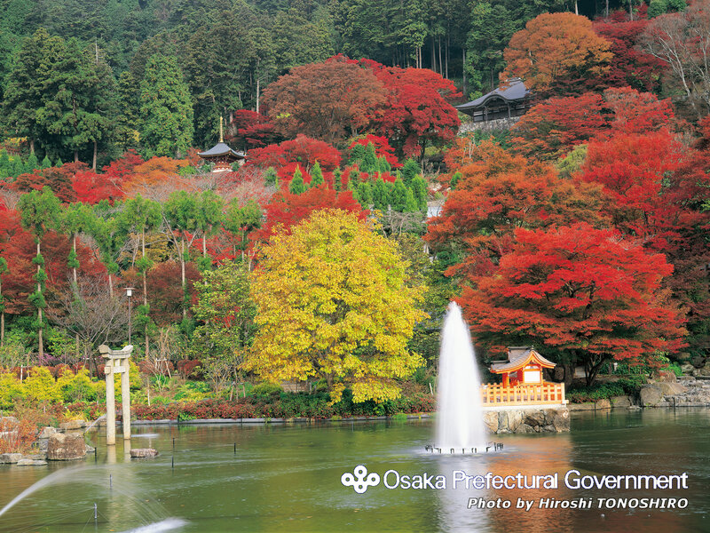 Autumn garden with fountain
