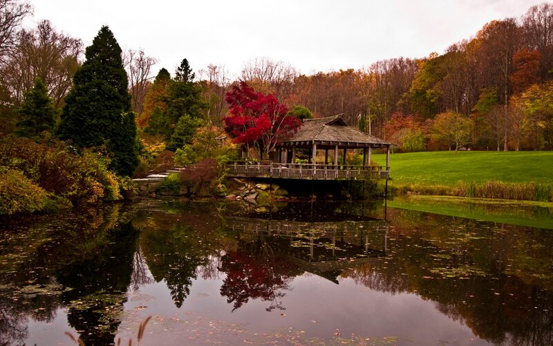 Autumn garden with gazebo