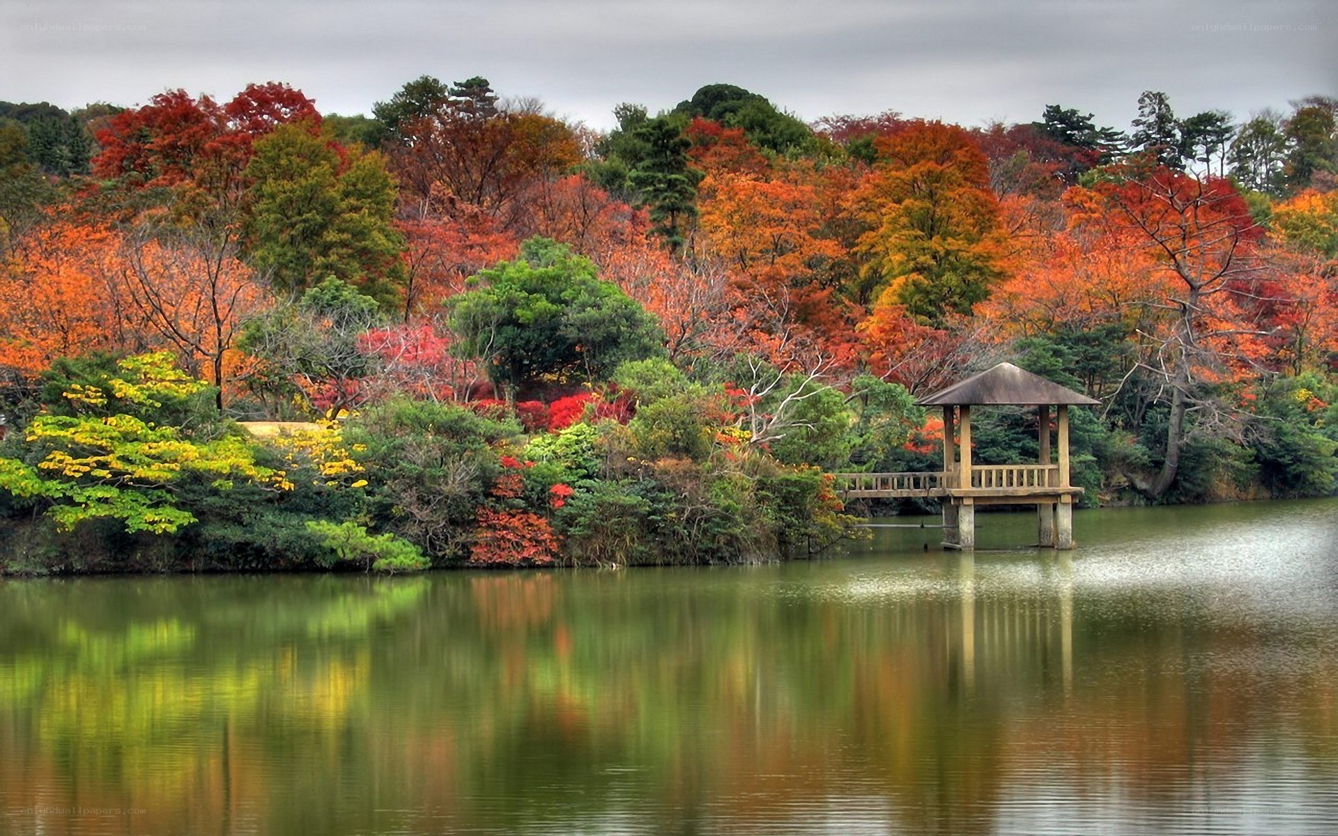 Autumn garden with lake pavilion