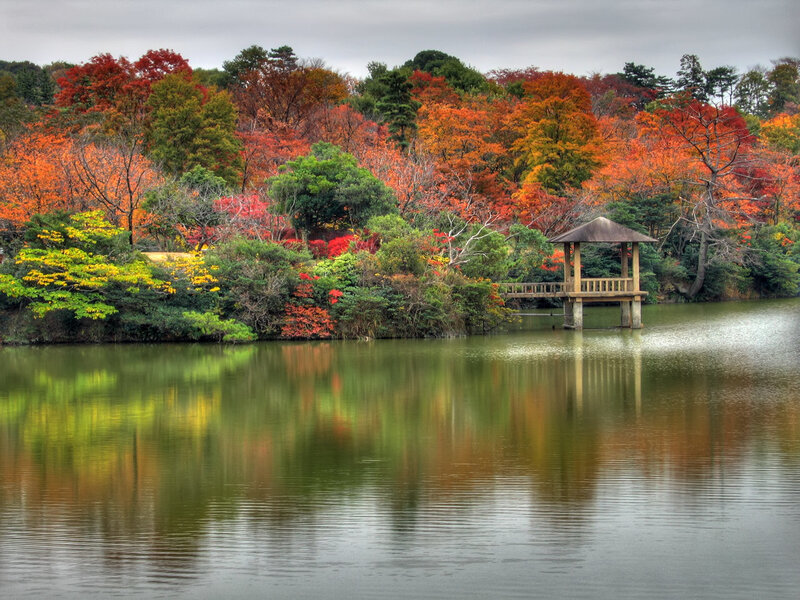 Autumn garden with lake pavilion