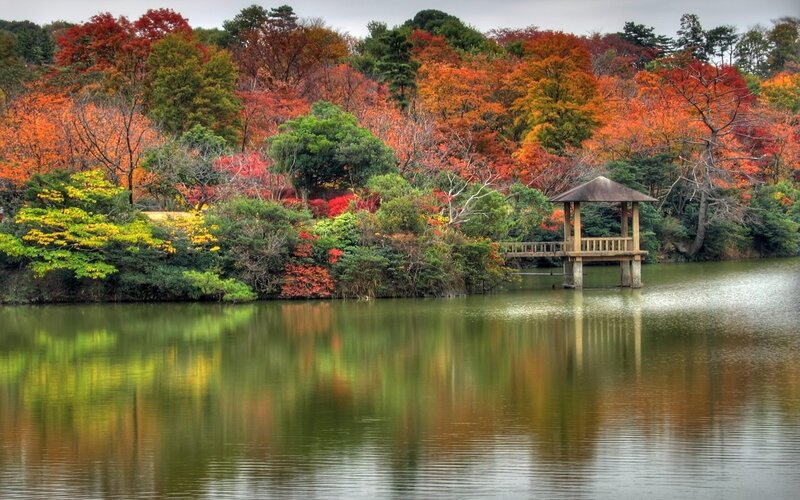 Autumn garden with lake pavilion