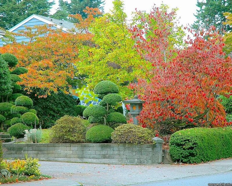 Autumn Garden with Lantern