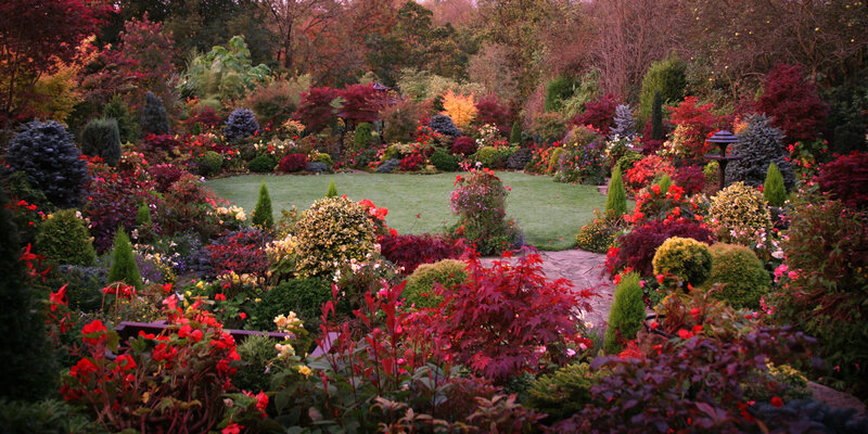 Autumn Garden with Lawn