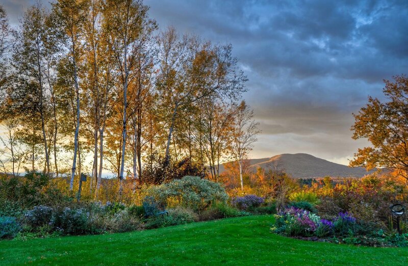 Autumn Garden with Mountains — Green
