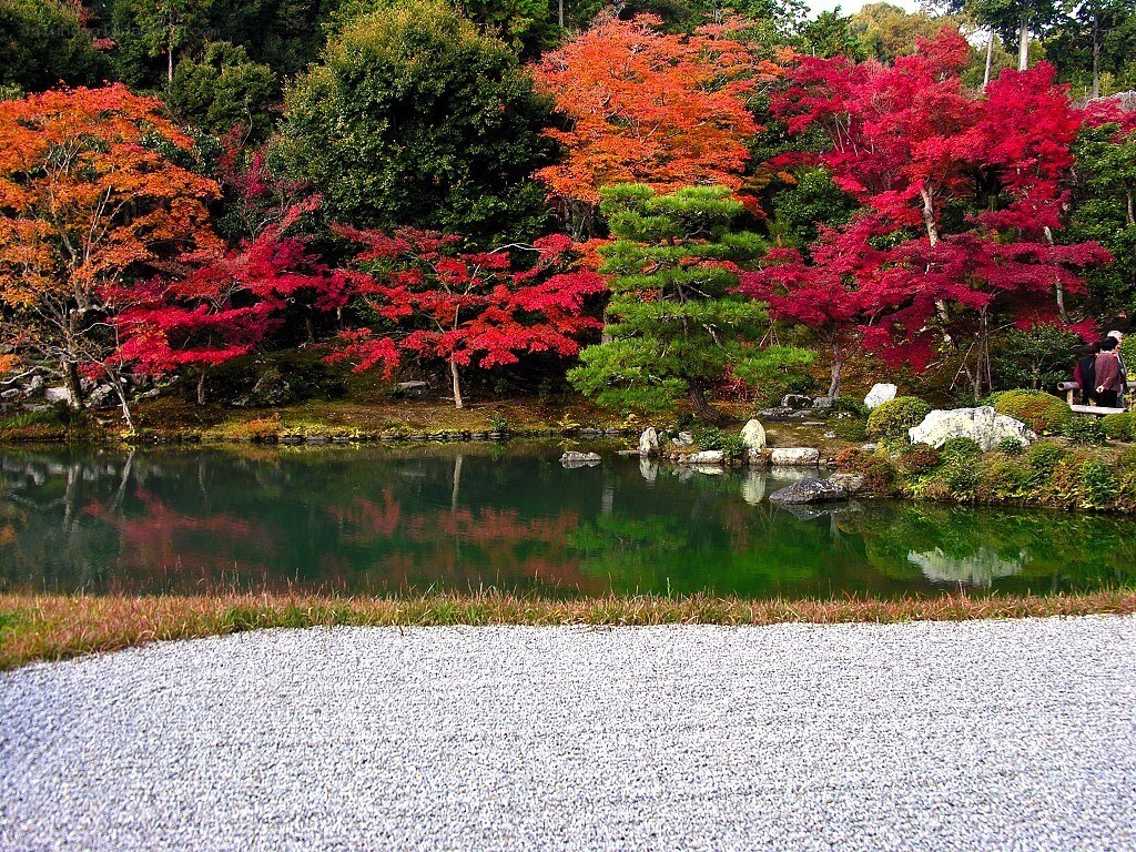 Autumn garden with pond