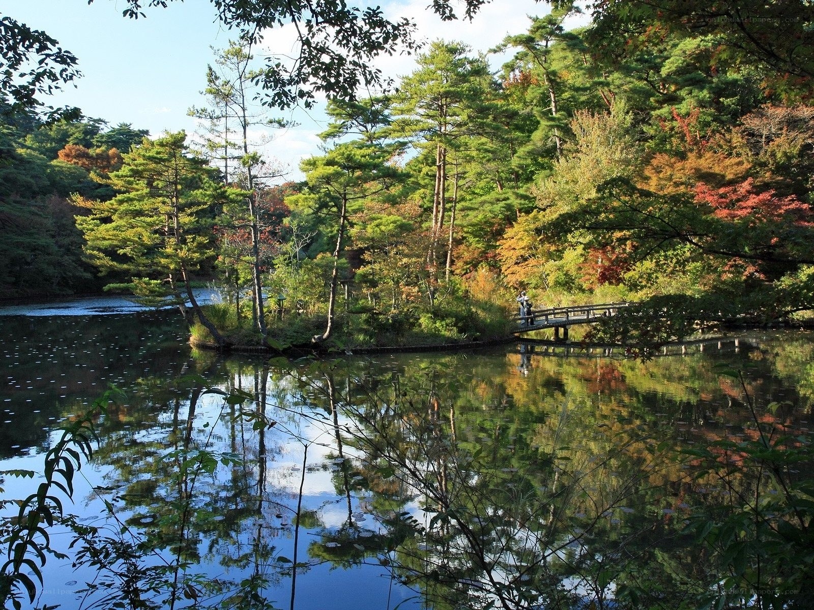 Autumn garden with pond and bridge