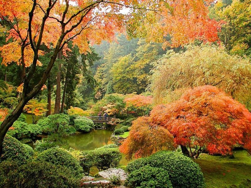 Autumn garden with pond and bridge