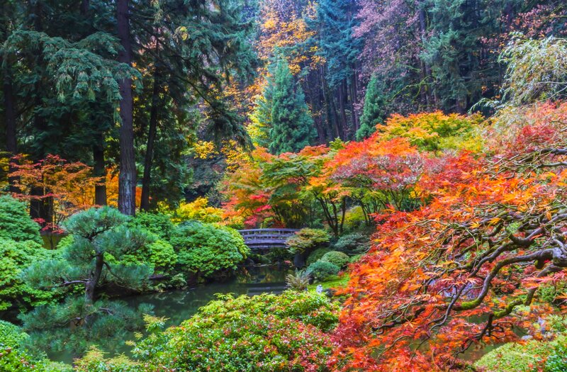Autumn Garden with Pond — Red