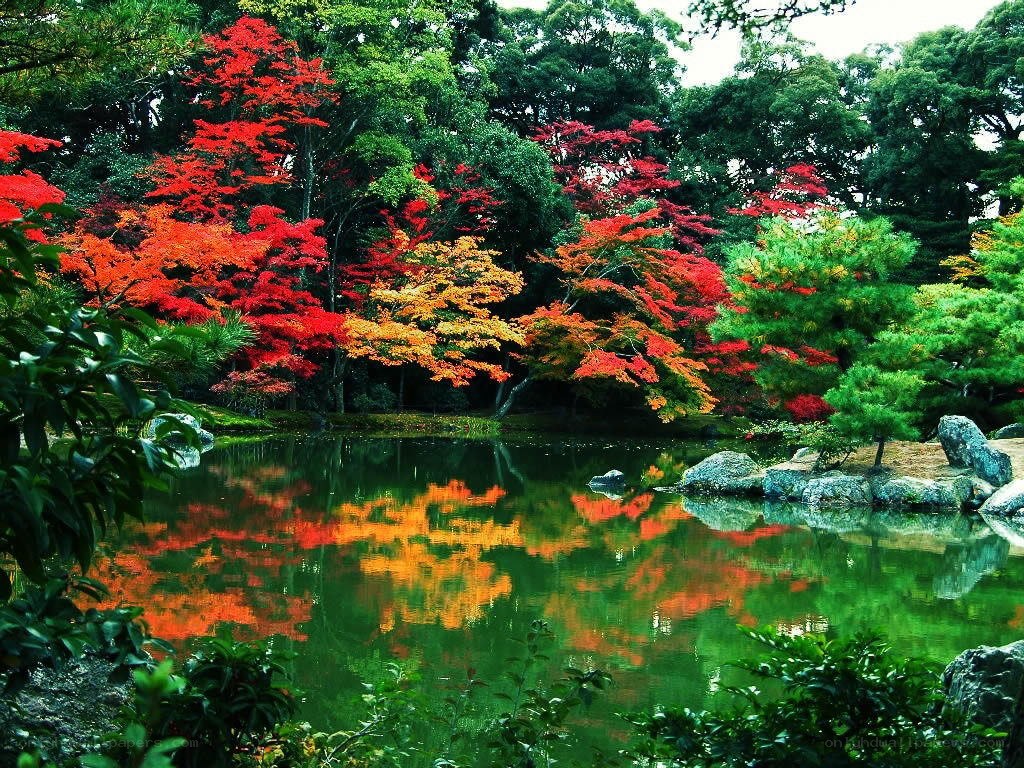 Autumn garden with pond reflection