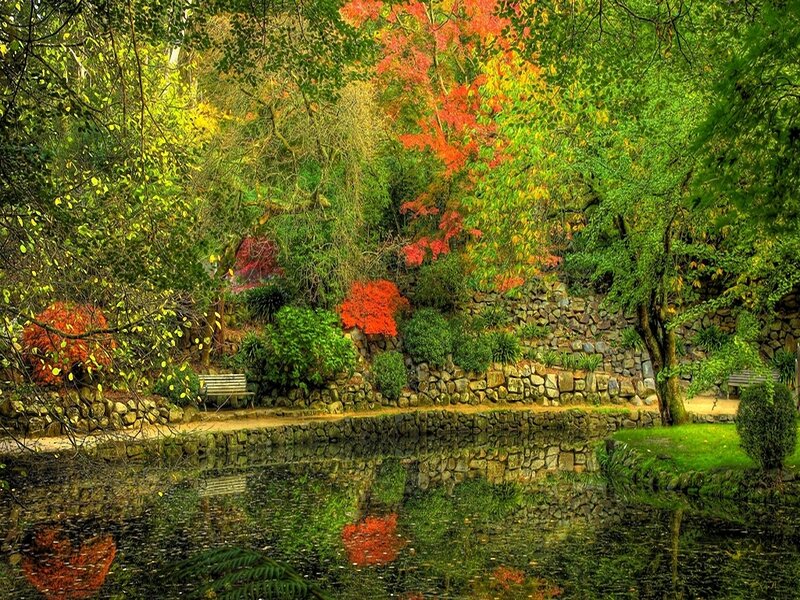 Autumn garden with pond reflection