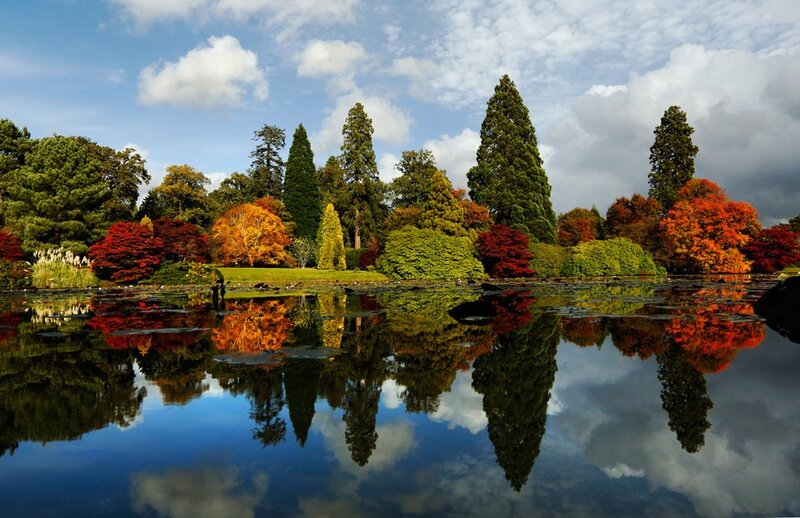 Autumn garden with pond reflection
