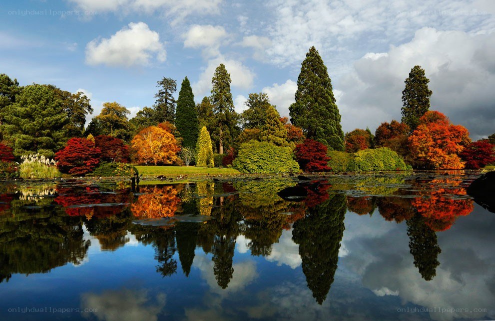 Autumn garden with pond reflection