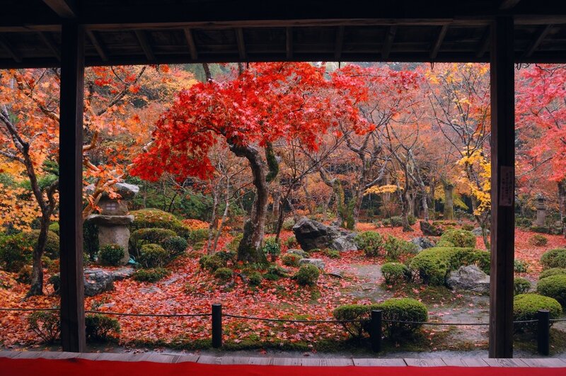 Autumn Garden with Red Leaves — Serene