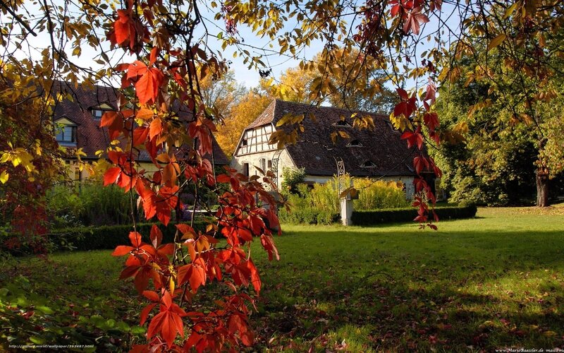 Autumn garden with red leaves