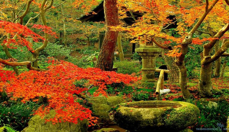Autumn Garden with Stone Basin
