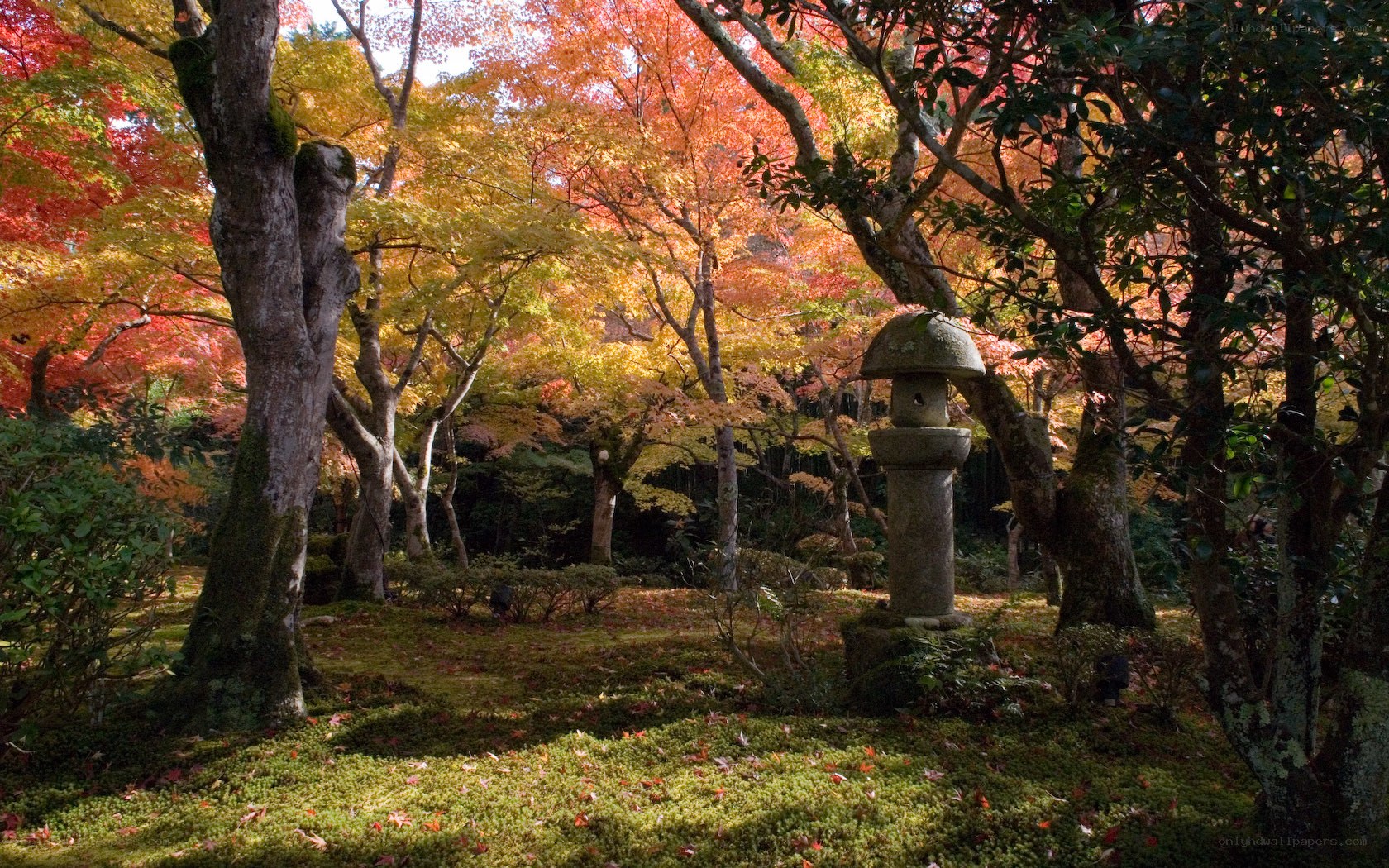 Autumn garden with stone lantern
